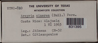 Image Associated With the Occurence